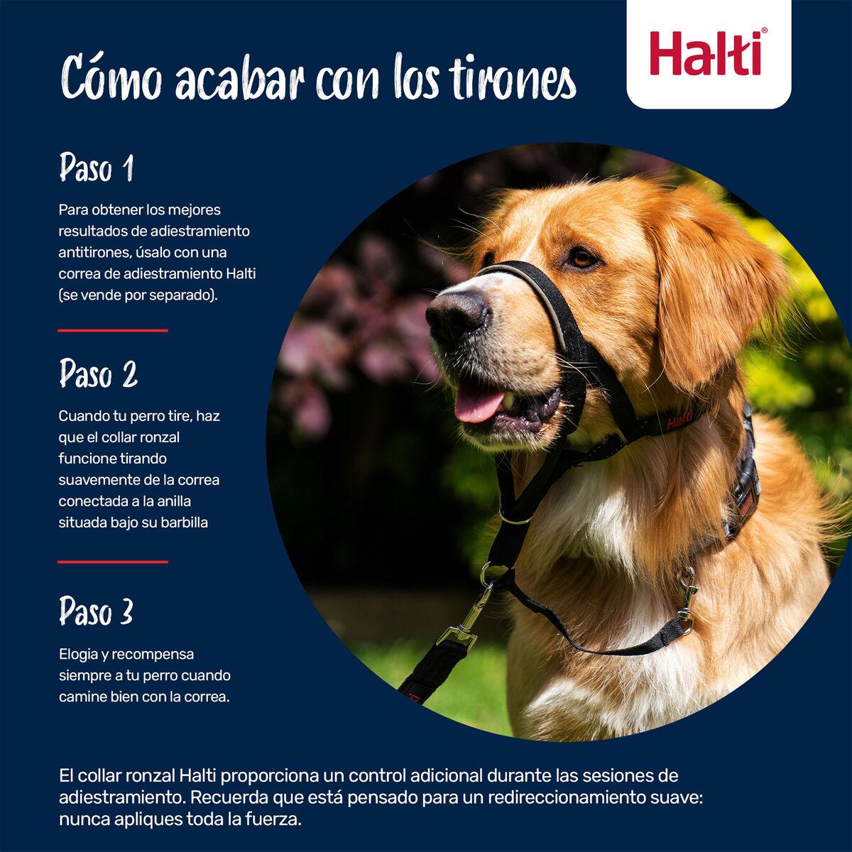 Muselière Company of Animals FOREST Vert 3