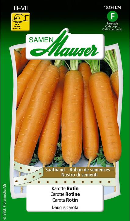 Légumes