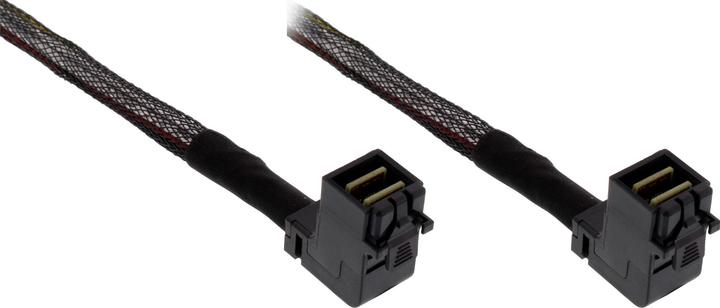 InLine Mini-SAS HD Kabel (75 cm, Mini-SAS HD)