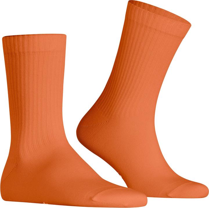 Carrot Orange