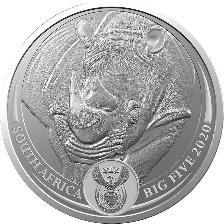South Africa Mint Silber Nashorn 1 oz - Big Five Serie I - 2020 (999, 2020)