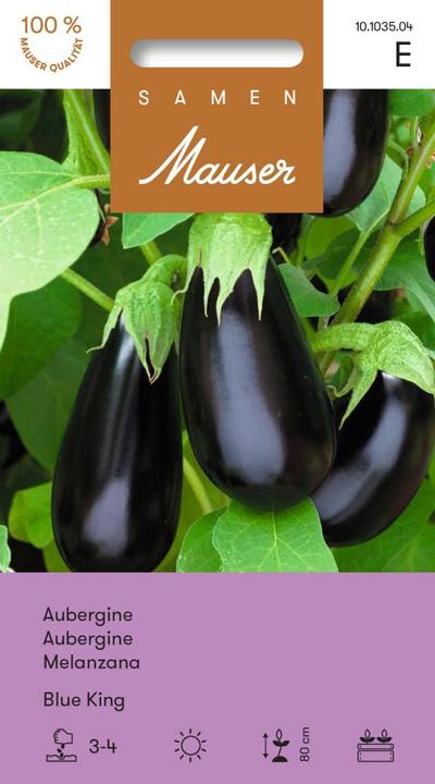Produktbild Samen Mauser Blue King (Gemüsesamen)