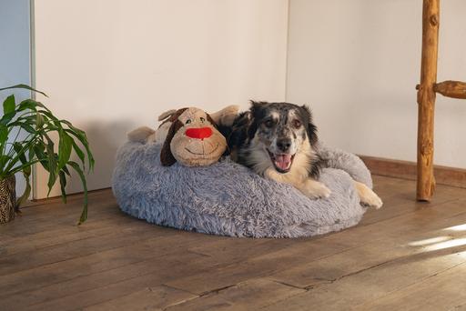 Image du produit Beeztees Joep (Jouet en peluche chien)