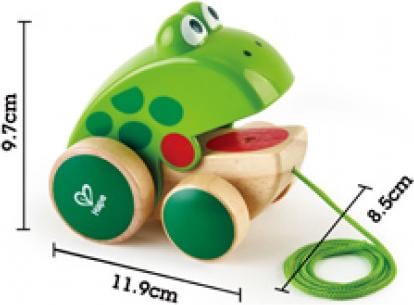 Actual product image Hape Frog