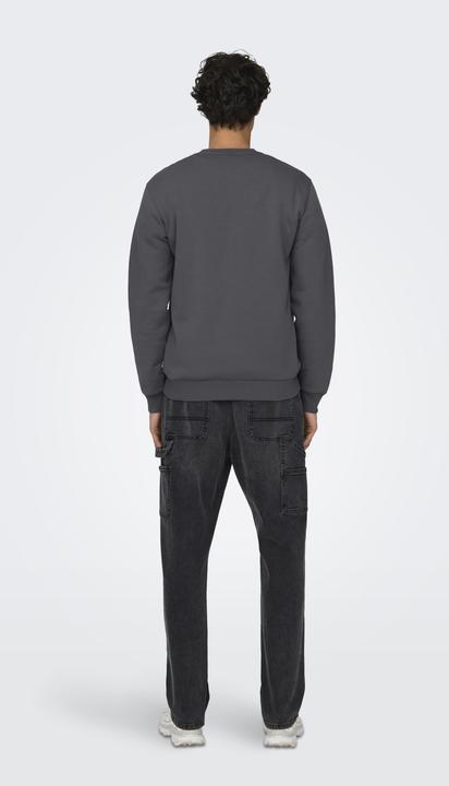 Image du produit Only & Sons Onsceres Crew Neck Noos (XL)
