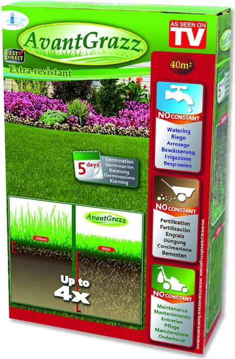 Best direct Avant Grazz (Lawn reseed)