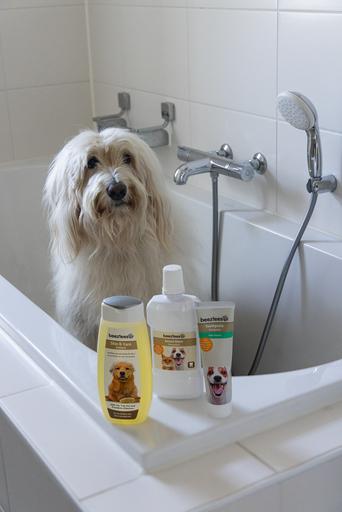 Produktbild Beeztees BZ MUNDWASSER HUND/KATZ 300ML (Hund)