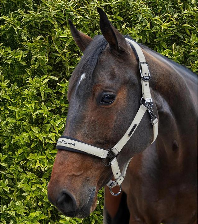 Actual product image Premier Equine Duco