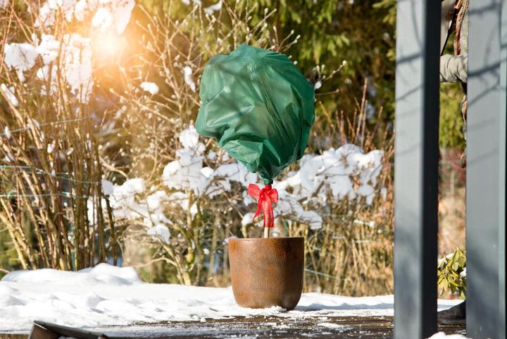 Immagine prodotto Windhager Vello invernale Colore