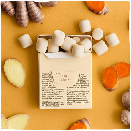 Actual product image True Gum Ginger and turmeric (1 pcs., 21 g)