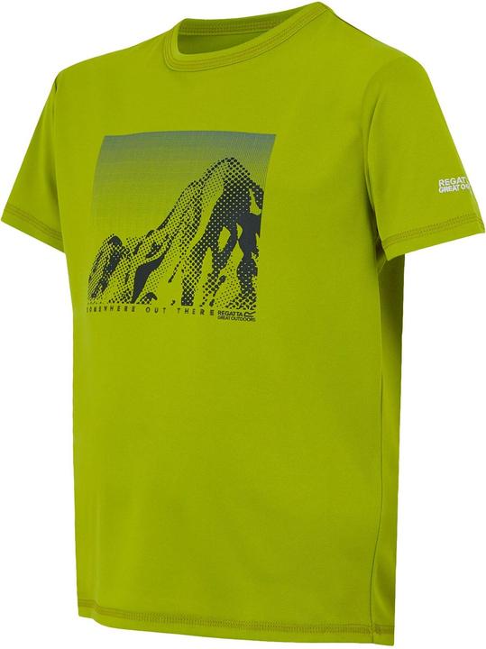 Produktbild Regatta Alvarado IX TShirt (116)