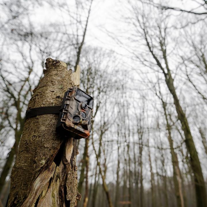 Produktbild Caruba Wildcamera Moose 4K