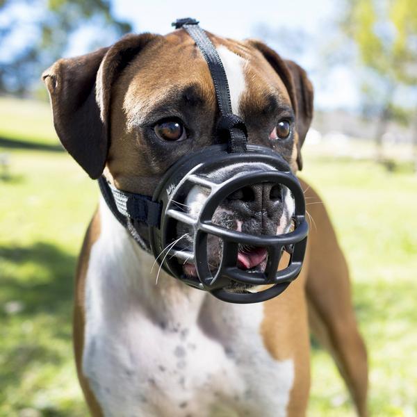 Produktbild Company of Animals Maulkorb Ultra Muzzle (4, Hund, Allgemein)