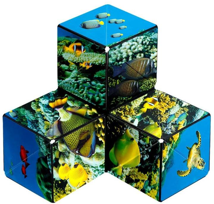 Produktbild Shashibo Cube Undersea