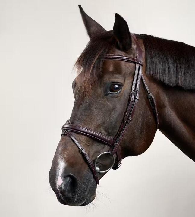 Immagine prodotto Dy'on Flash New English Collection