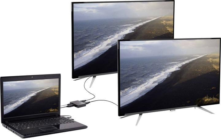 Actual product image Renkforce DisplayPortSwitch bidirektional passiv