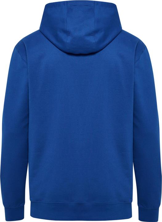 Actual product image hummel HMLGO 2.0 HOODIE (M)
