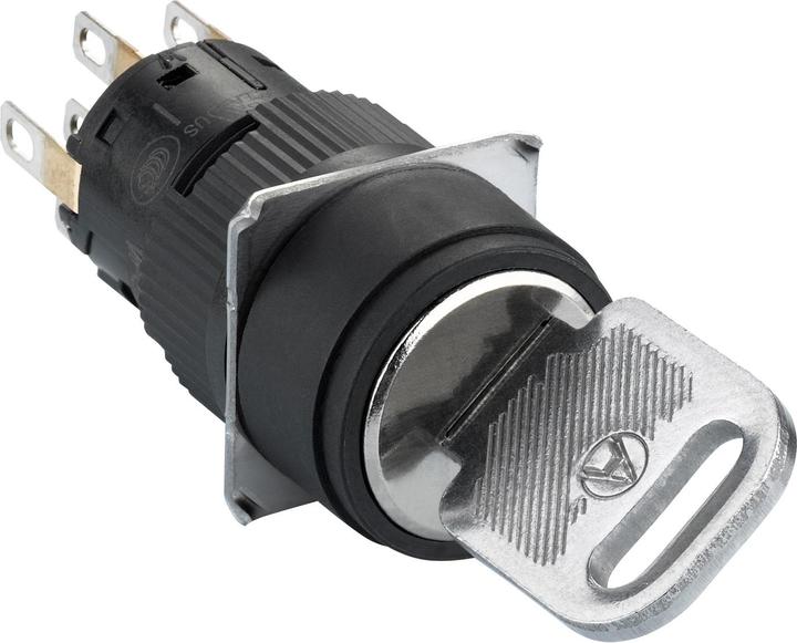 Actual product image Schneider Electric Black selector switch Ř 16, protruding. XB6EAG232P