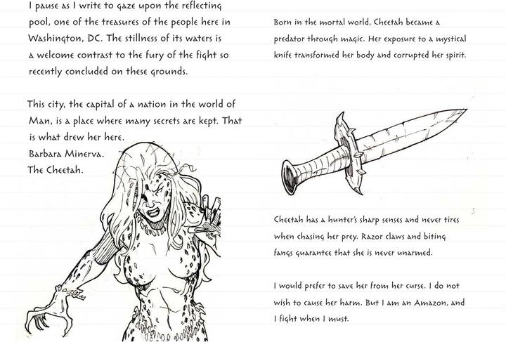 Produktbild Wonder Woman Ruled Pocket Journal (Englisch, Daniel Wallace, 2017)