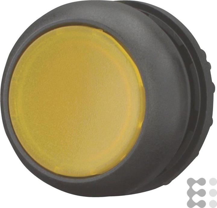 Black, Yellow