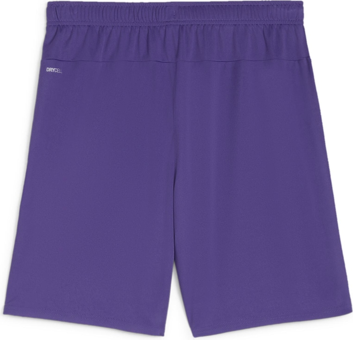 Actual product image Puma teamGOAL shorts (S)