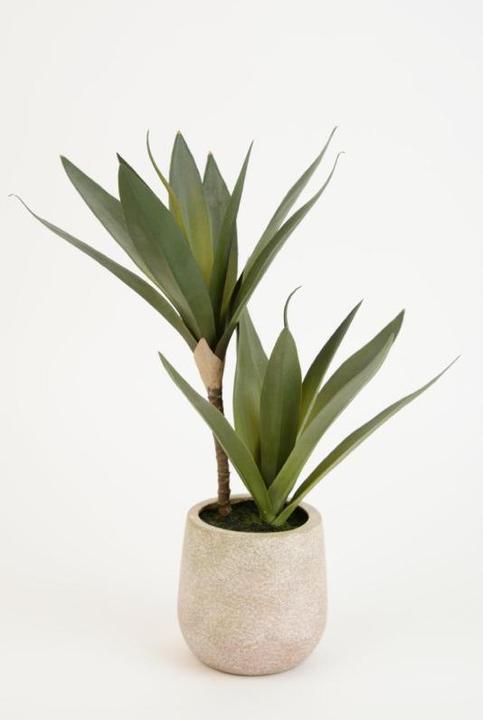 Kare Design Deko Pflanze Agave 50cm - kaufen bei Galaxus - Galaxus
