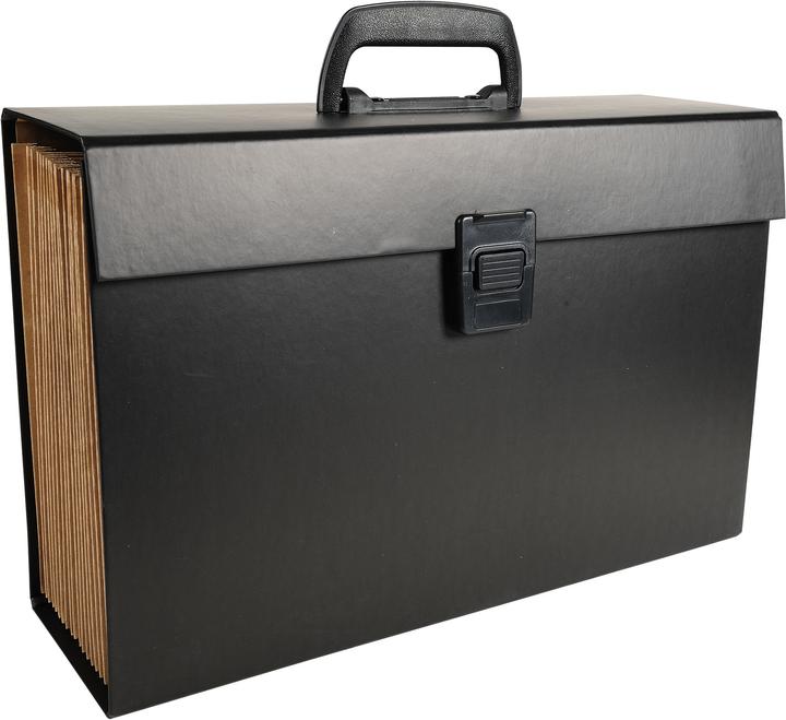 Produktbild Exacompta Fächermappen (A4, 32x)