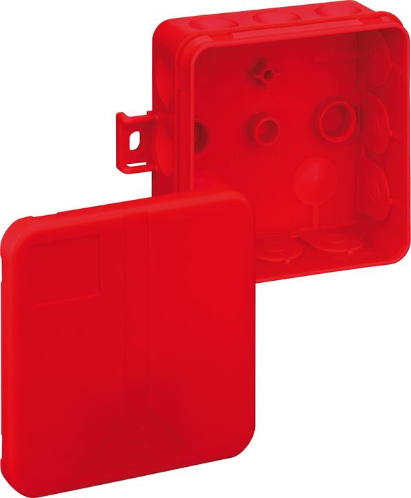 Rot