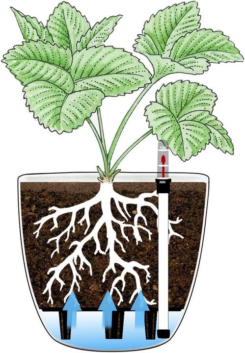Produktbild T4U Selbstwässernder Blumentopf