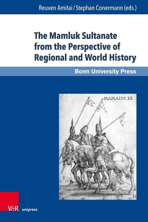 Produktbild The Mamluk Sultanate from the Perspective of Regional and World History (Deutsch, 2019)