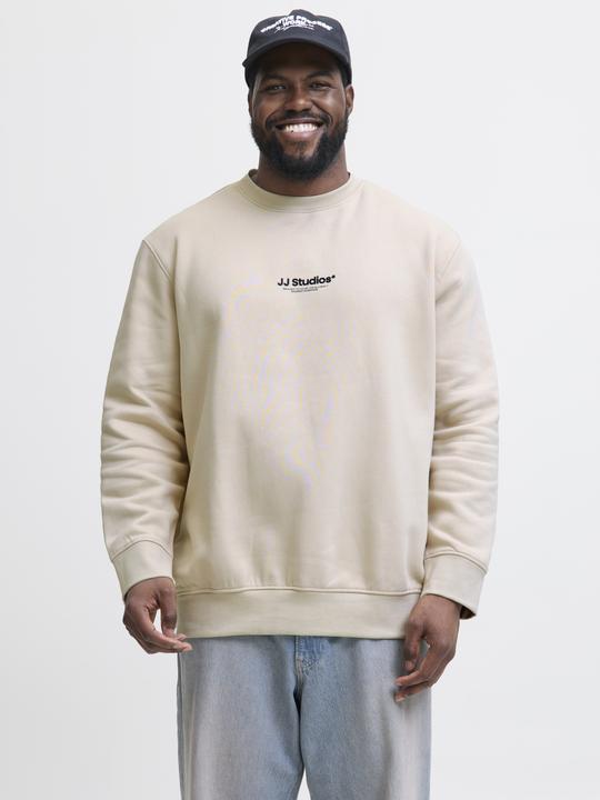 Produktbild Jack & Jones Plus Size Gedruckt Sweatshirt Sweatshirt