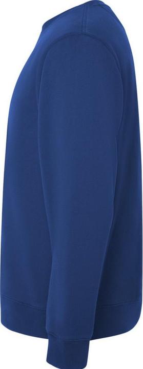 Produktbild Alpinia Batian Sweatshirt Rundhalsausschnitt (L)