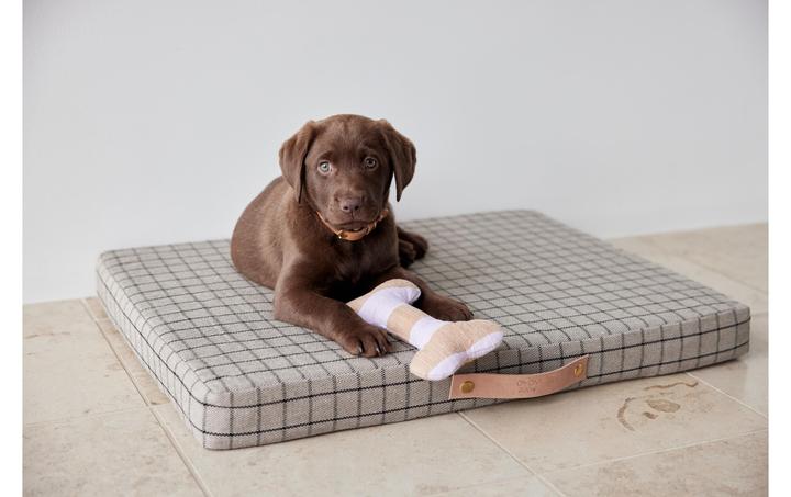 Immagine prodotto Oyoy Milo (Cane)