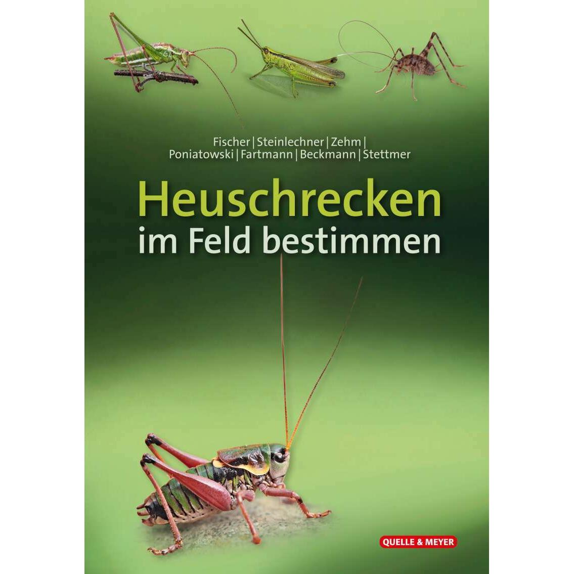 Heuschrecken im Feld bestimmen, Sachbücher von Dominik Poniatowski, Daniela Steinlechner, Jürgen Fischer, Thomas Fartman...