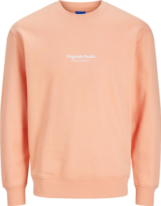 Actual product image Jack & Jones Jorvesterbro Sweat Crew Neck Bn Mni (116)