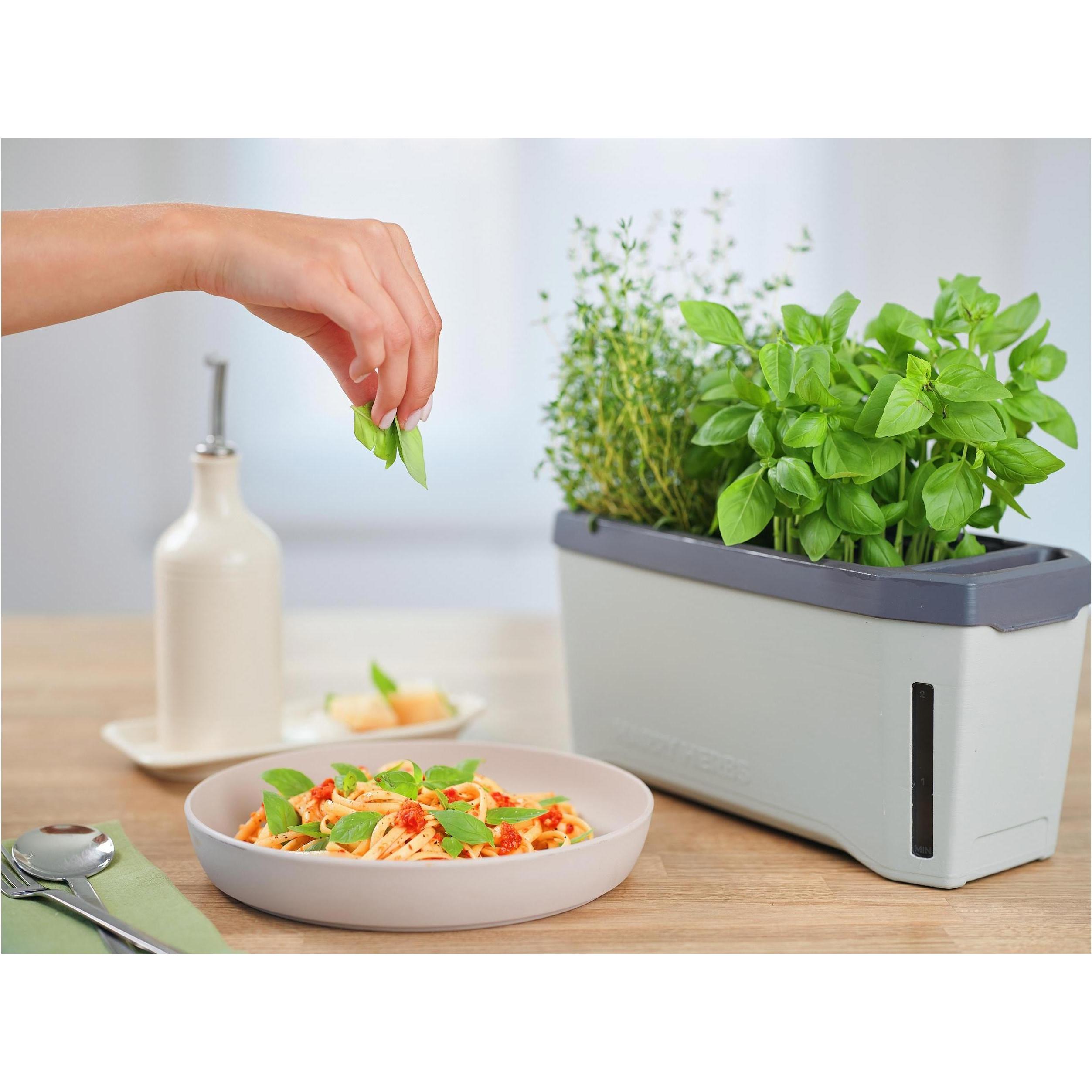 Thumbnail - Gusta Garden, Blumentopf, Harry Herbs (35.80 cm)