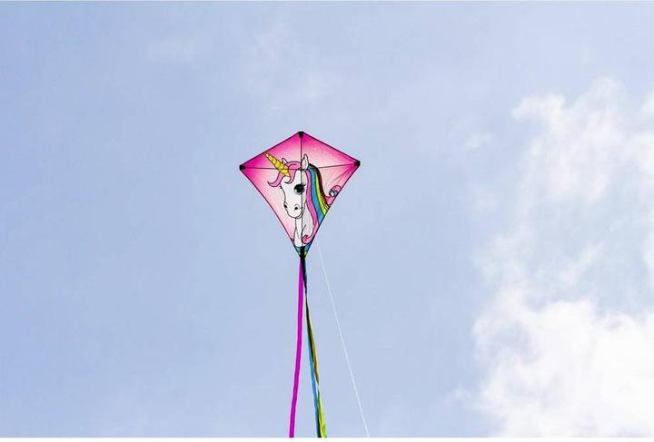 Actual product image Invento Eddy Unicorn