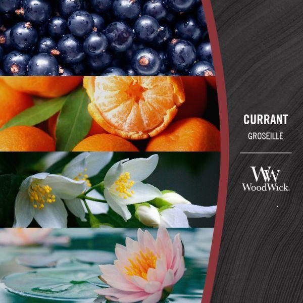 Actual product image WoodWick Currant (85 g)