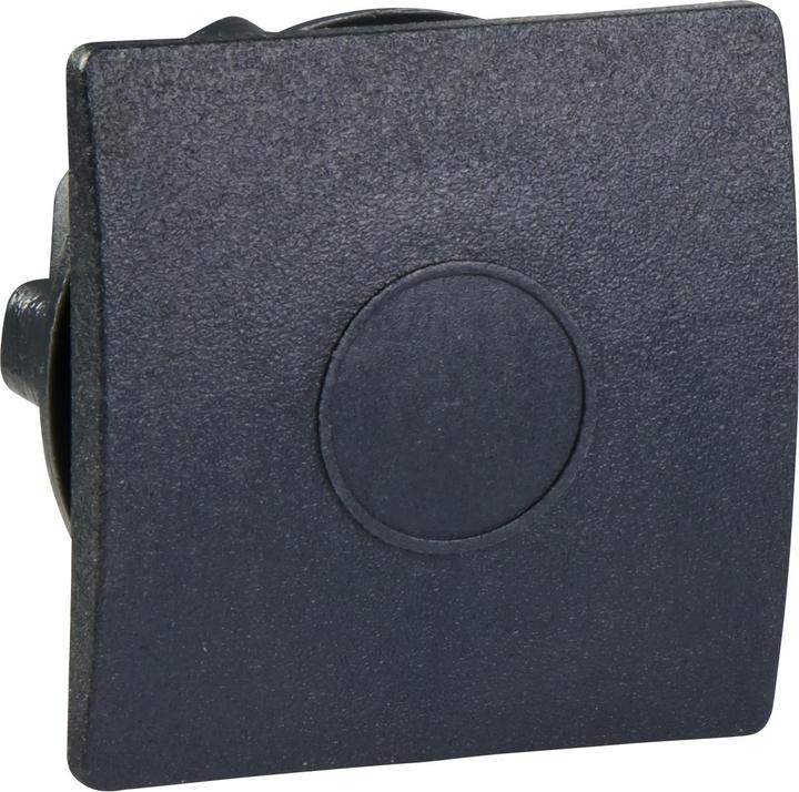 Actual product image Schneider Electric black square blanking plug for Ø22 hole