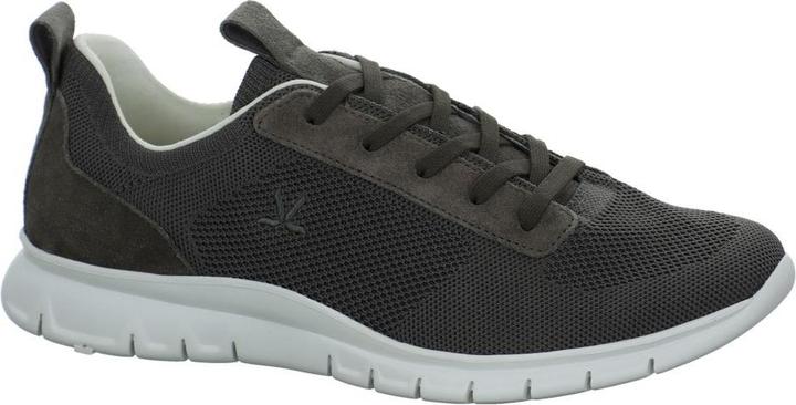 Produktbild Lloyd Caesar Going (45)