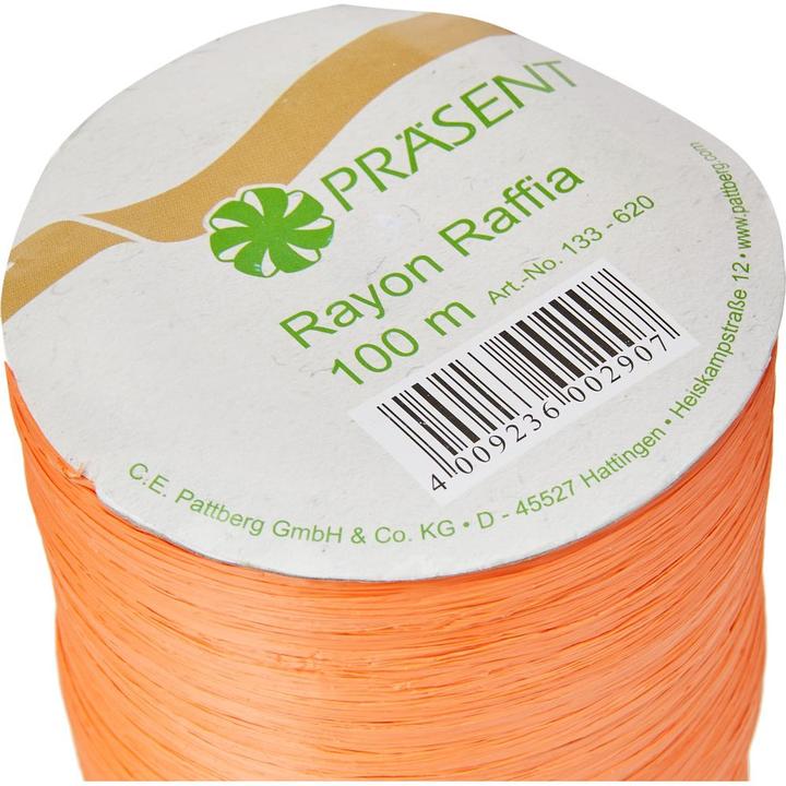 Actual product image Pattberg Raffia bastband rayon (1x)