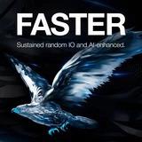 Actual product image Seagate SkyHawk (8 TB, 3.5")