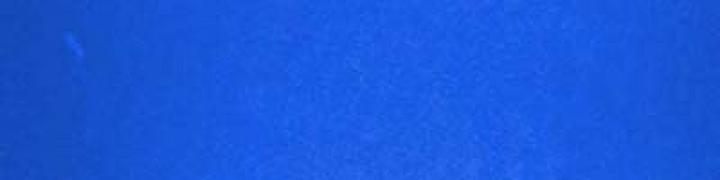 Actual product image Dupli-Color Neon (Blue, 0.15 l)