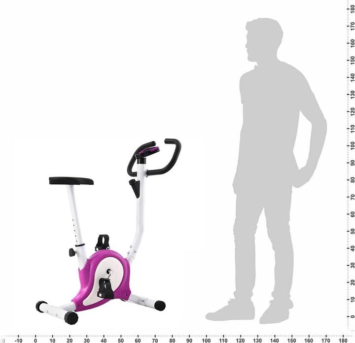 Actual product image vidaXL Heimtrainer