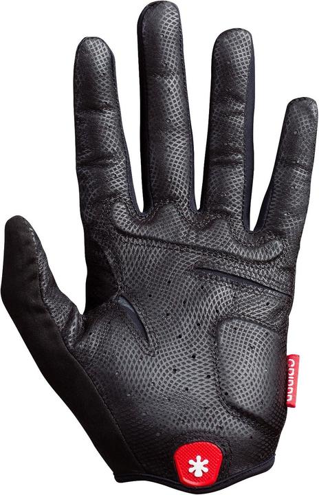 Immagine prodotto Hirzl Grippp Tour 2.0 FF (6, XS)