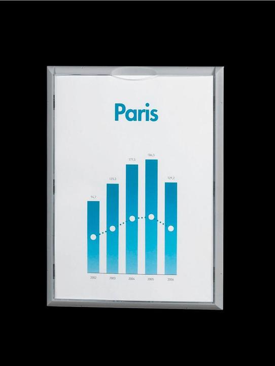 kaiserkraft Info-Display (A4)