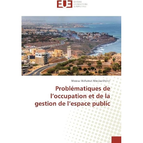 Problématiques de l'occupation et de la gestion de l'espace public, Fachbücher von Moussa Mahamat Moussa Dicker
