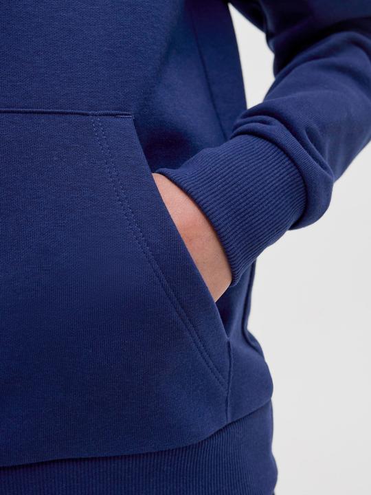 Produktbild Jack & Jones Jorskull Nature Sweat Hood Sn Jnr (164)