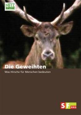 Die Geweihten (DVD, 2009, Deutsch)