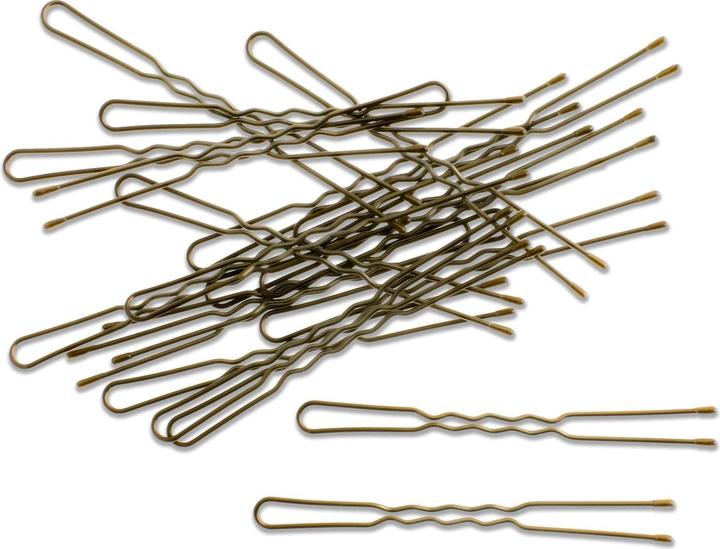 DailyGo Hairpin (20 pcs.)
